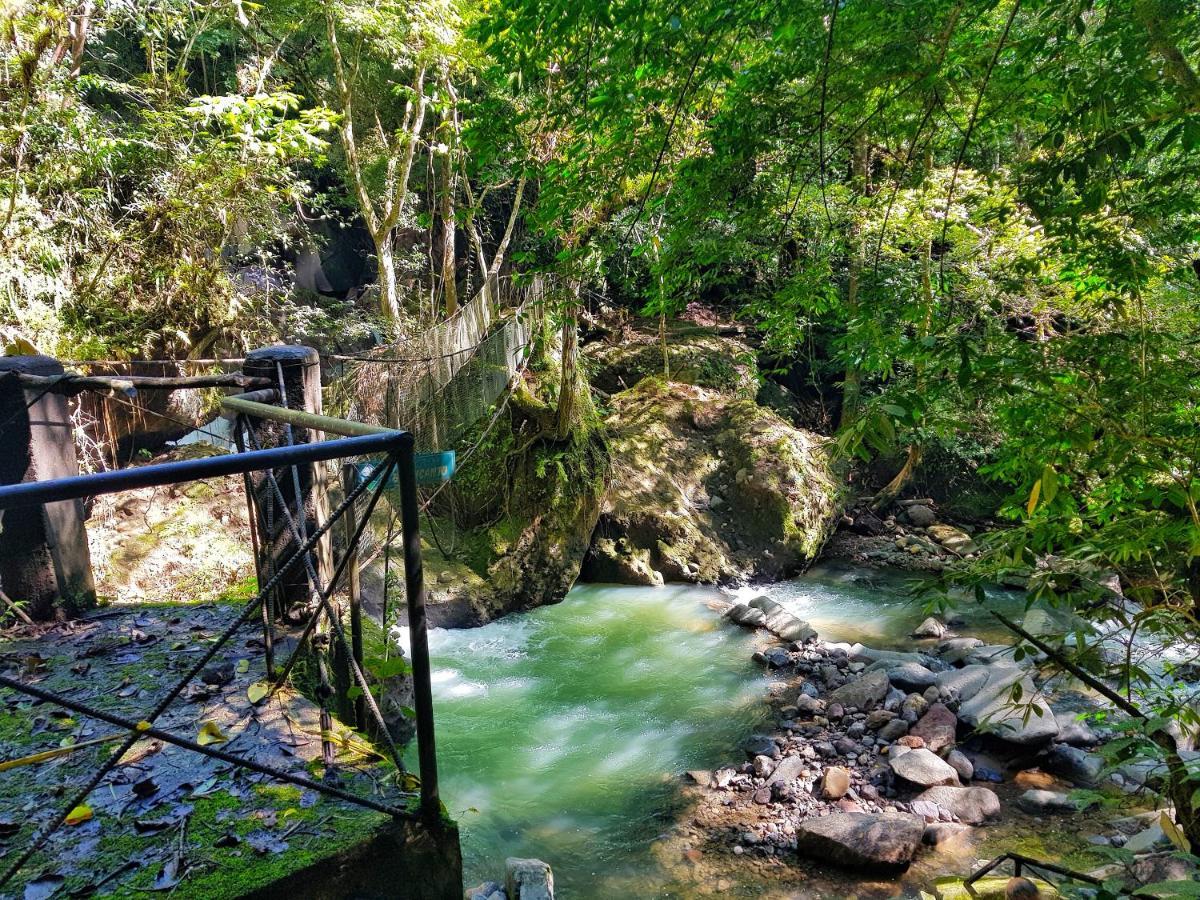 Tower Studio In The Treetops In Altos Del Maria Panama El Picacho Eksteriør billede